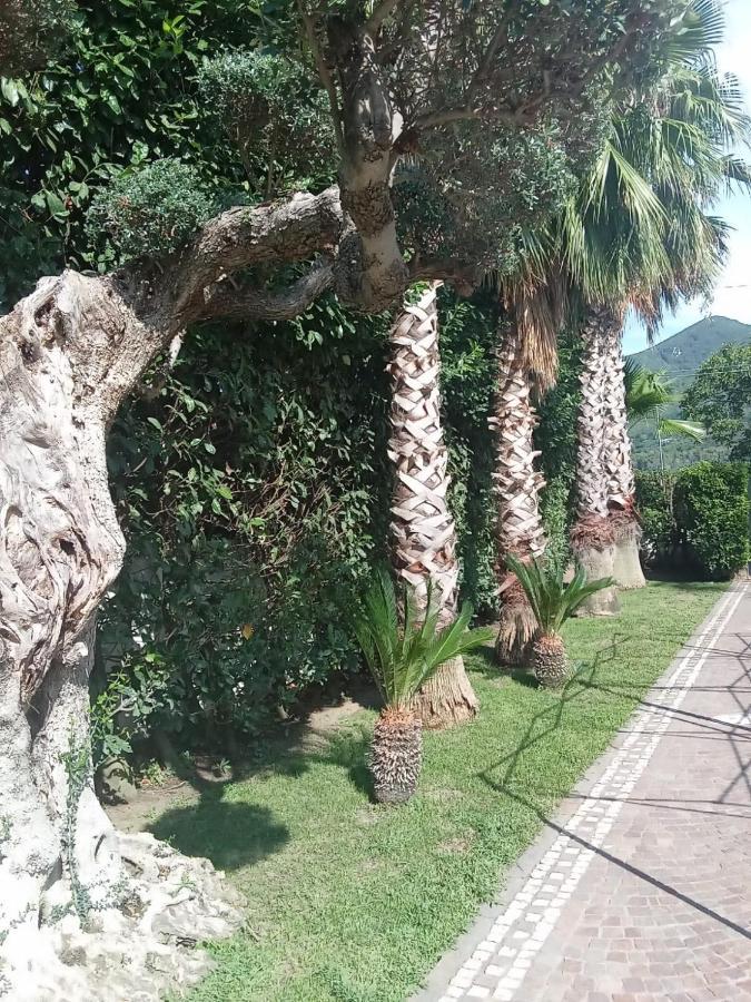 Villa Agata Forchia Extérieur photo
