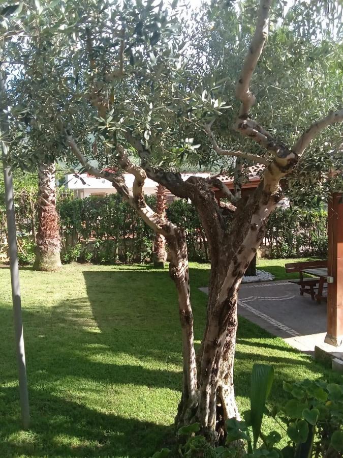 Villa Agata Forchia Extérieur photo