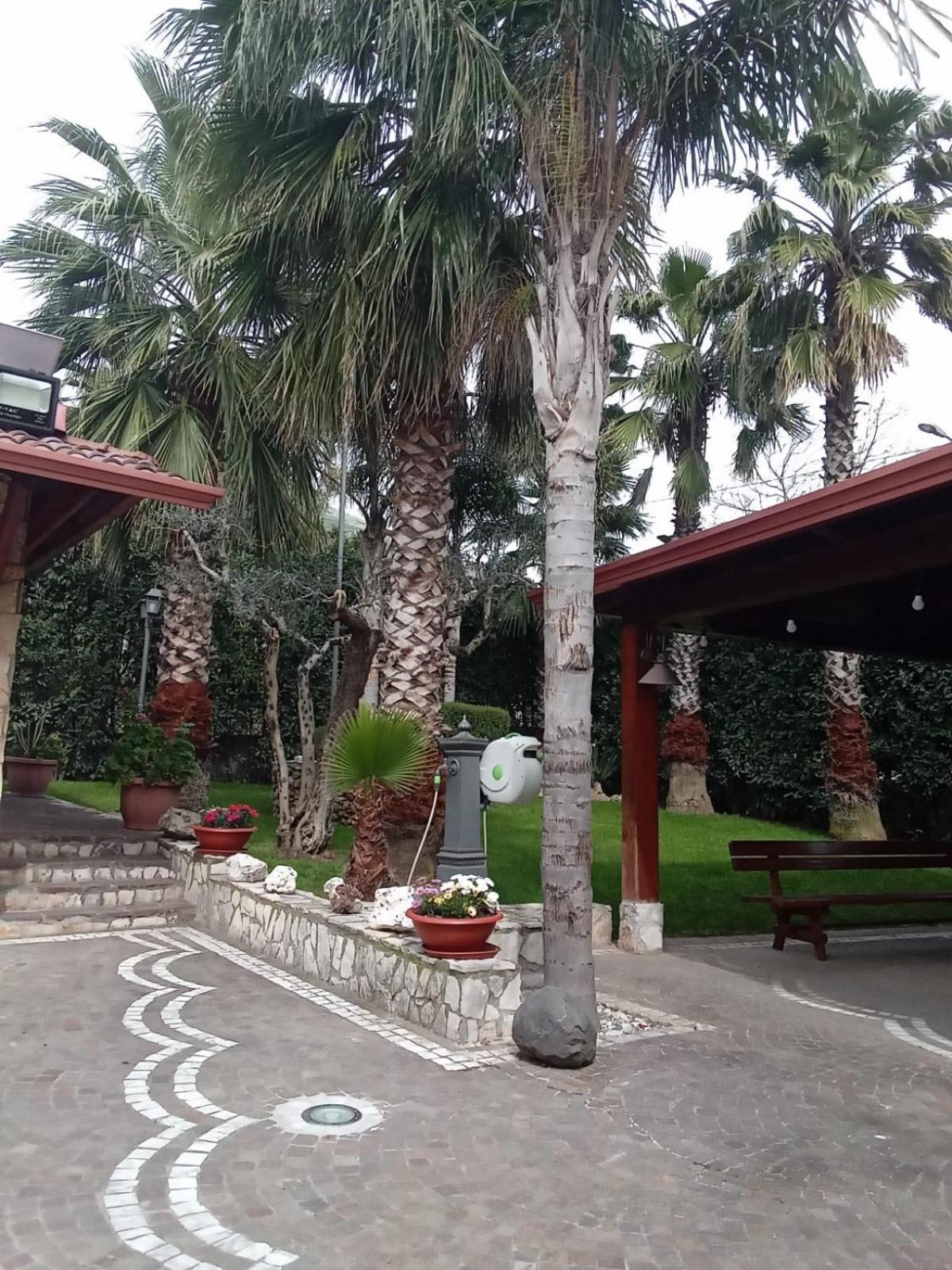 Villa Agata Forchia Extérieur photo